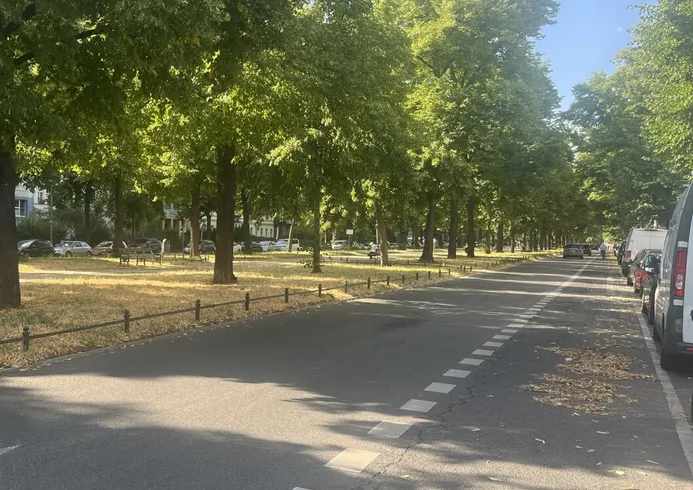 Fahrbahnsanierung an der Schloßstraße